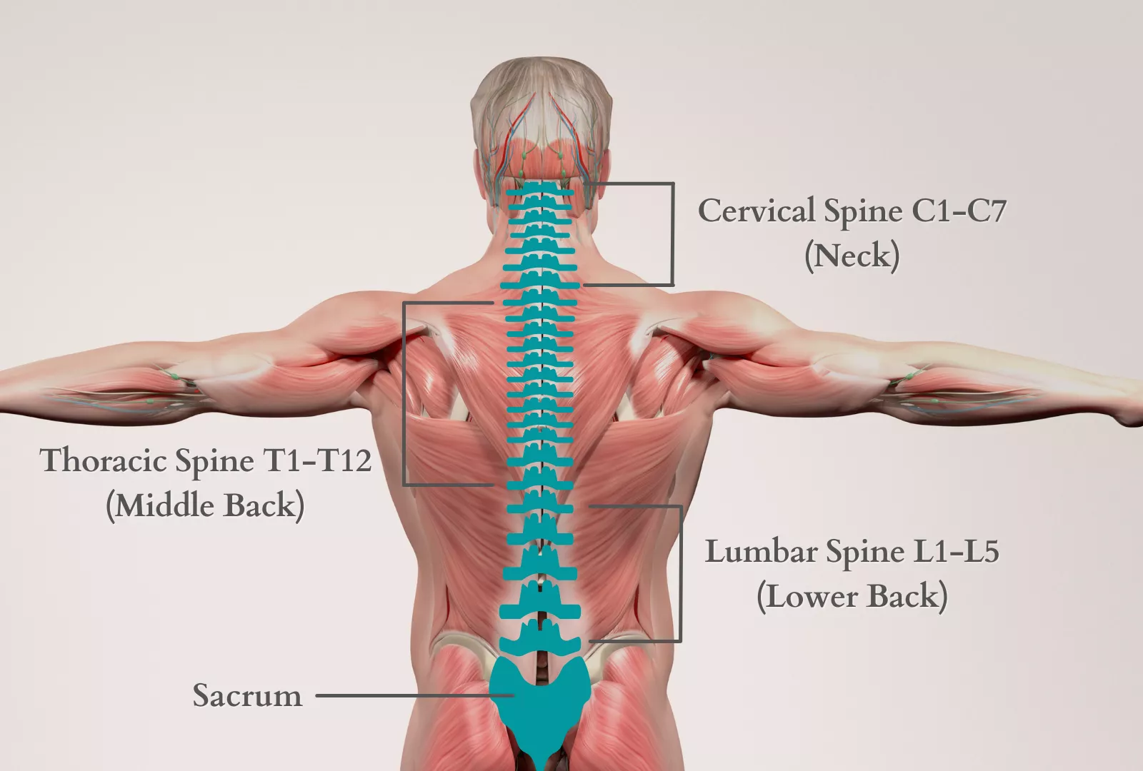 Don't Unlock Your Spine Reviews Unless You Use These 10 Tools