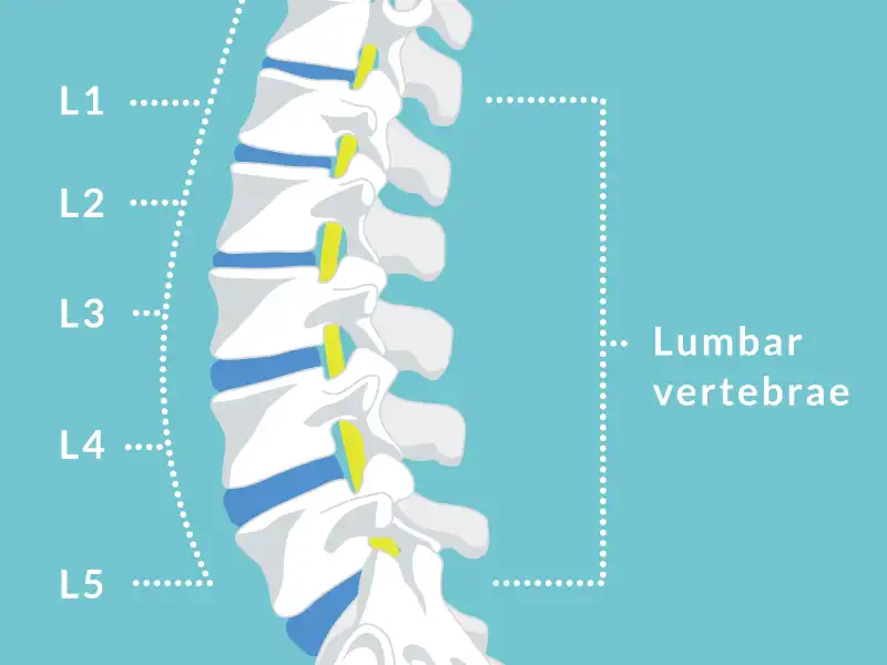 Spinal Rack Degenerative Disc Disease Archives Spinal Back Rack