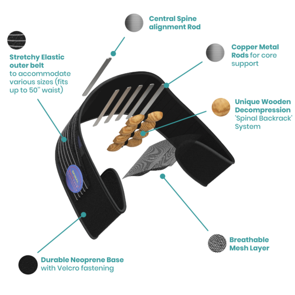 Belt design and technology