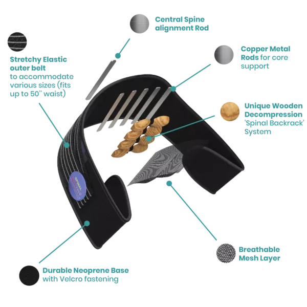 Belt design and technology
