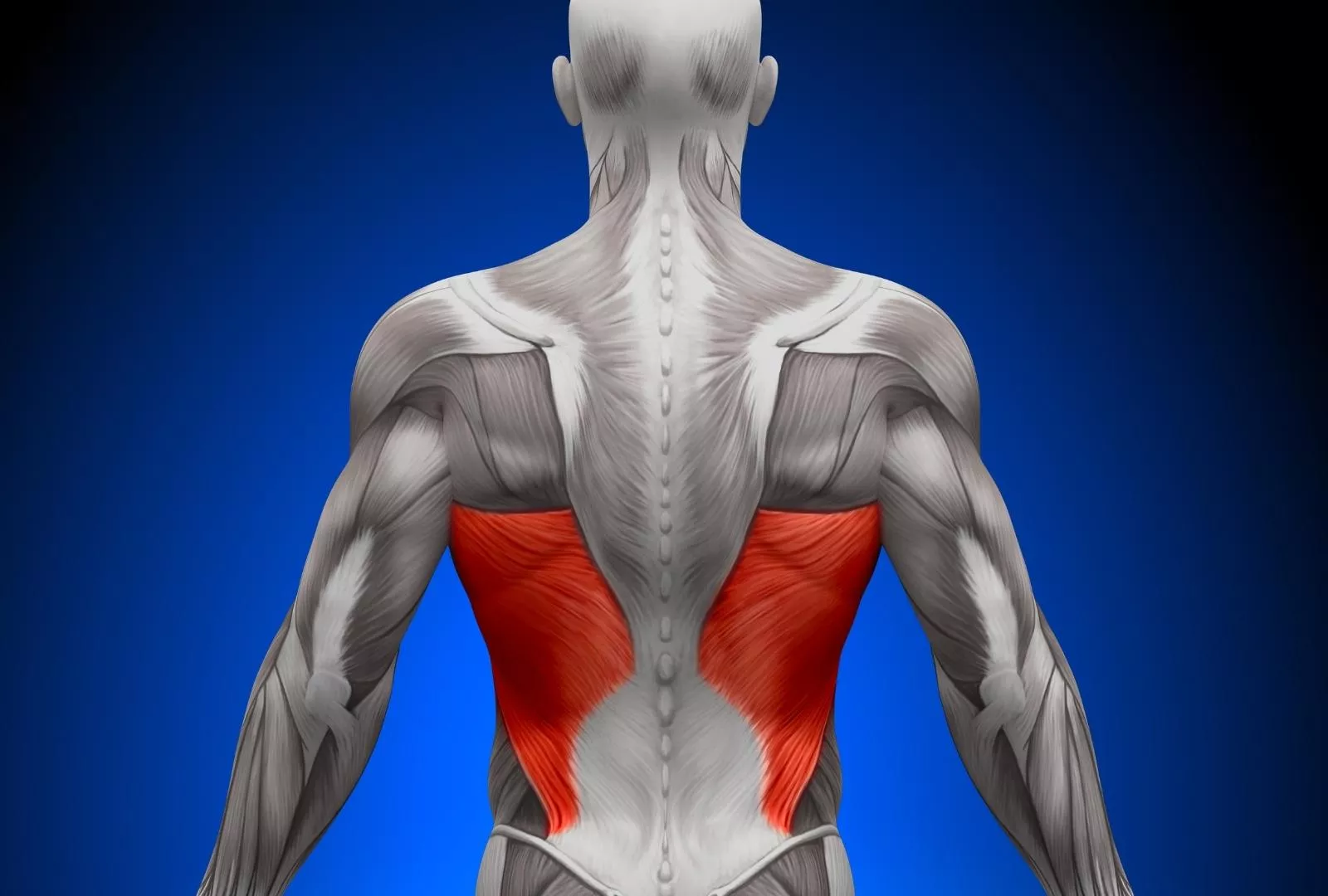 Slow Down Degenerative Disc Disease