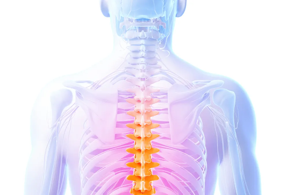 Spinal Rack Degenerative Disc Disease Archives Spinal Back Rack