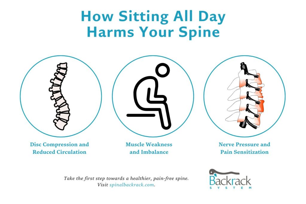 how sitting all day harms your spine - Spinal Backrack