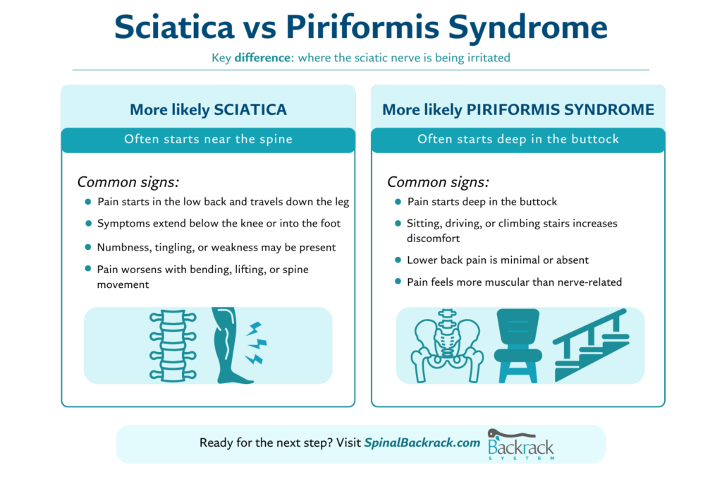 sciatica vs piriformis syndrome infographic - Spinal Backrack