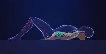 Sciatica-3D-1